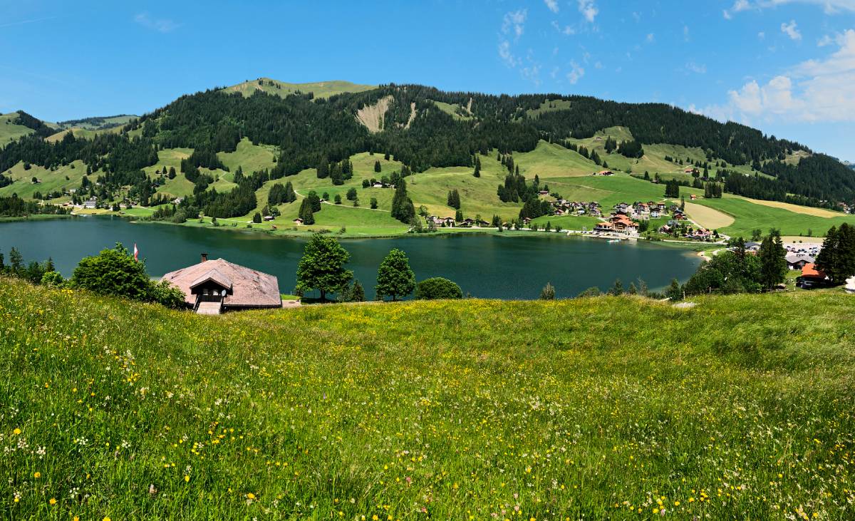 https://www.terrenature.ch/app/uploads/2022/06/15_00_lac_noir_2518.jpg