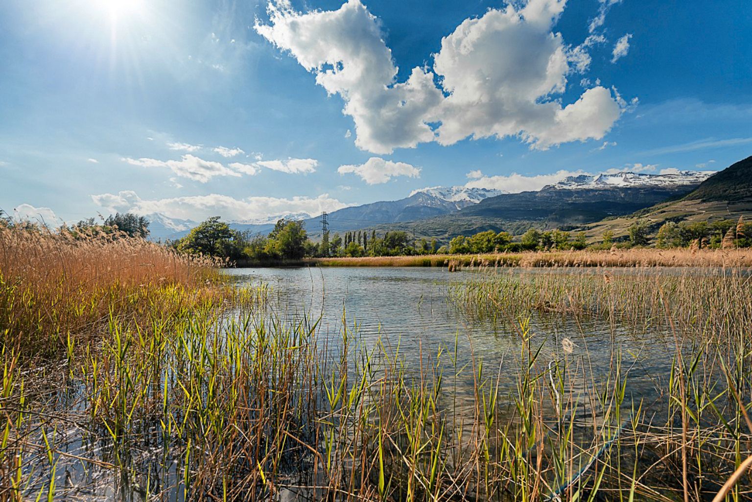 https://www.terrenature.ch/app/uploads/2024/10/18_Pouta_Fontana-2019-cFlorenceZufferey.jpeg